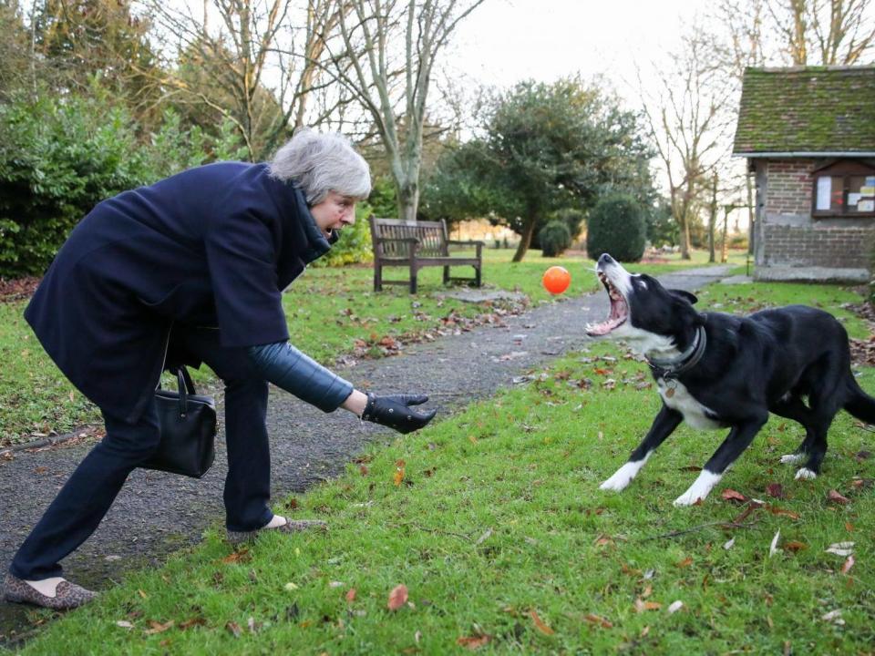 Theresa May throws a ball for a border collie called Blitz as she and her husband Philip leave following a church service near her Maidenhead constituency (PA)