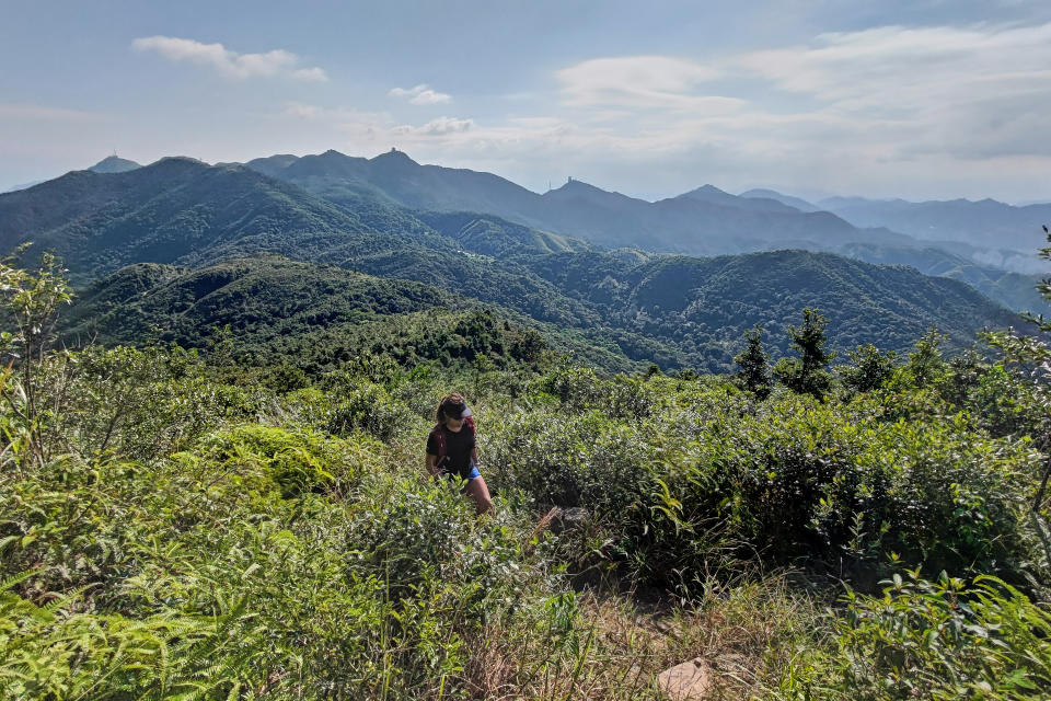 由花心坑登上黃牛的山路