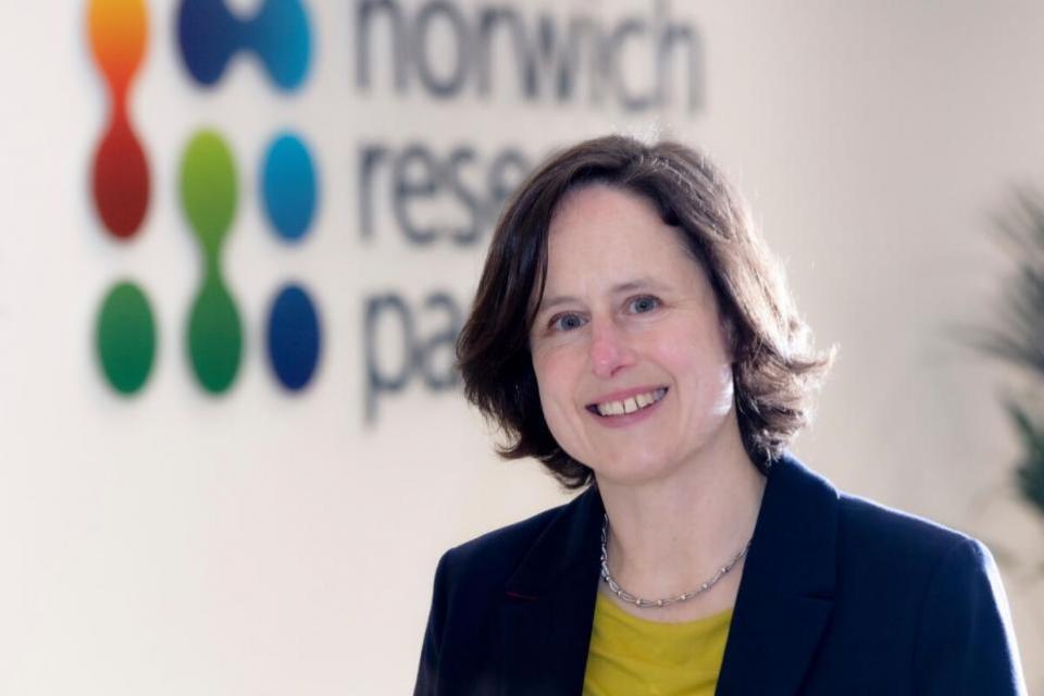 Eastern Daily Press: Roz Bird, CEO of Anglia Innovation Partnership