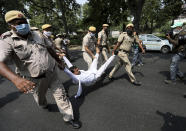 Policemen carry away a member of India's opposition Congress party during a protest against agriculture bills in New Delhi, India, Monday, Sept. 21, 2020. Amid an uproar in Parliament, Indian lawmakers on Sunday approved a pair of controversial agriculture bills that the government says will boost growth in the farming sector through private investments. (AP Photo/Manish Swarup)