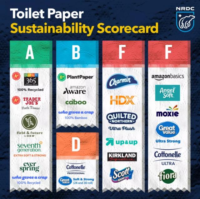 Caught short: lack of recycled toilet paper in UK 'fuelling