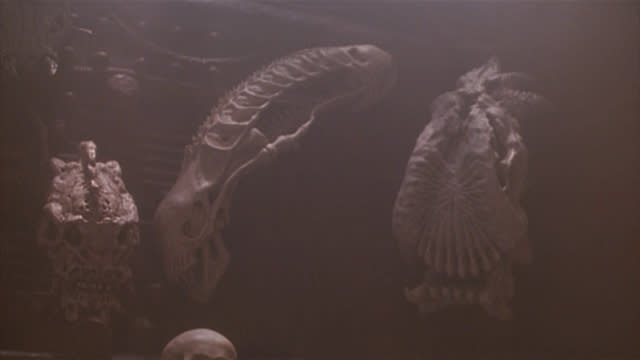 Alien Skull in Predator 2.