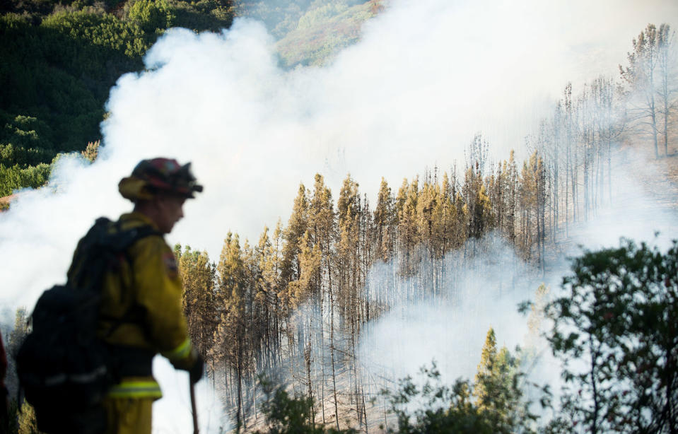 <p>A firefighter watches as smoke from a wildfire swirls around a stand of trees near Morgan Hill, Calif., on Tuesday, Sept. 27, 2016. A heat wave stifling drought-stricken California has worsened a wildfire that burned some buildings and forced people from their homes in remote communities along the Santa Cruz Mountains. (AP Photo/Noah Berger) </p>