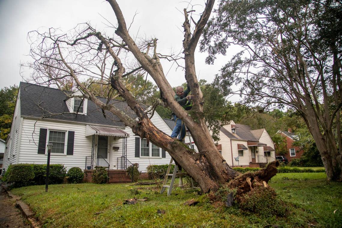 Jerry Rolow cuts limbs from an uprooted tree in his front yard on North King Charles Road in Raleigh Saturday morning, Oct. 1, 2022 after the remnants of Hurricane Ian left thousands without power in Triangle.