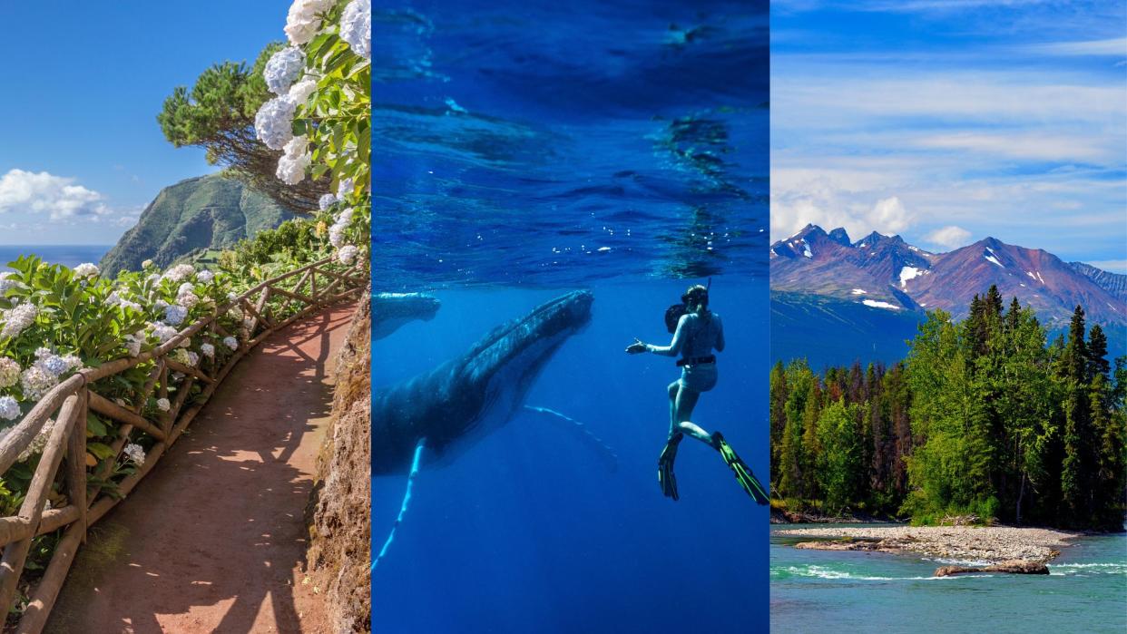  Three pictures of whale watching places across the world. L-R: Azores, Portugal, Tonga and Hudson Bay, Canada. 