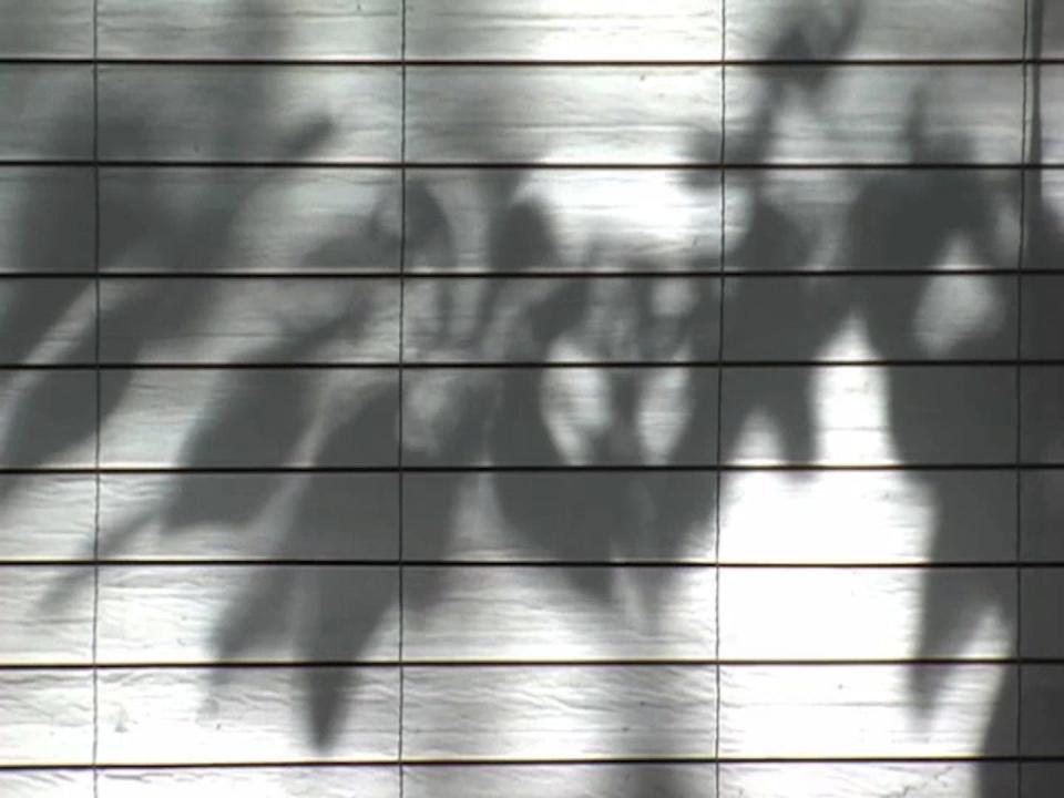 <span class="caption">Wind-animated foliage shadows cast on a sun shade.</span> <span class="attribution"><span class="source">Kevin Nute</span>, <a class="link " href="http://creativecommons.org/licenses/by/4.0/" rel="nofollow noopener" target="_blank" data-ylk="slk:CC BY;elm:context_link;itc:0;sec:content-canvas">CC BY</a></span>