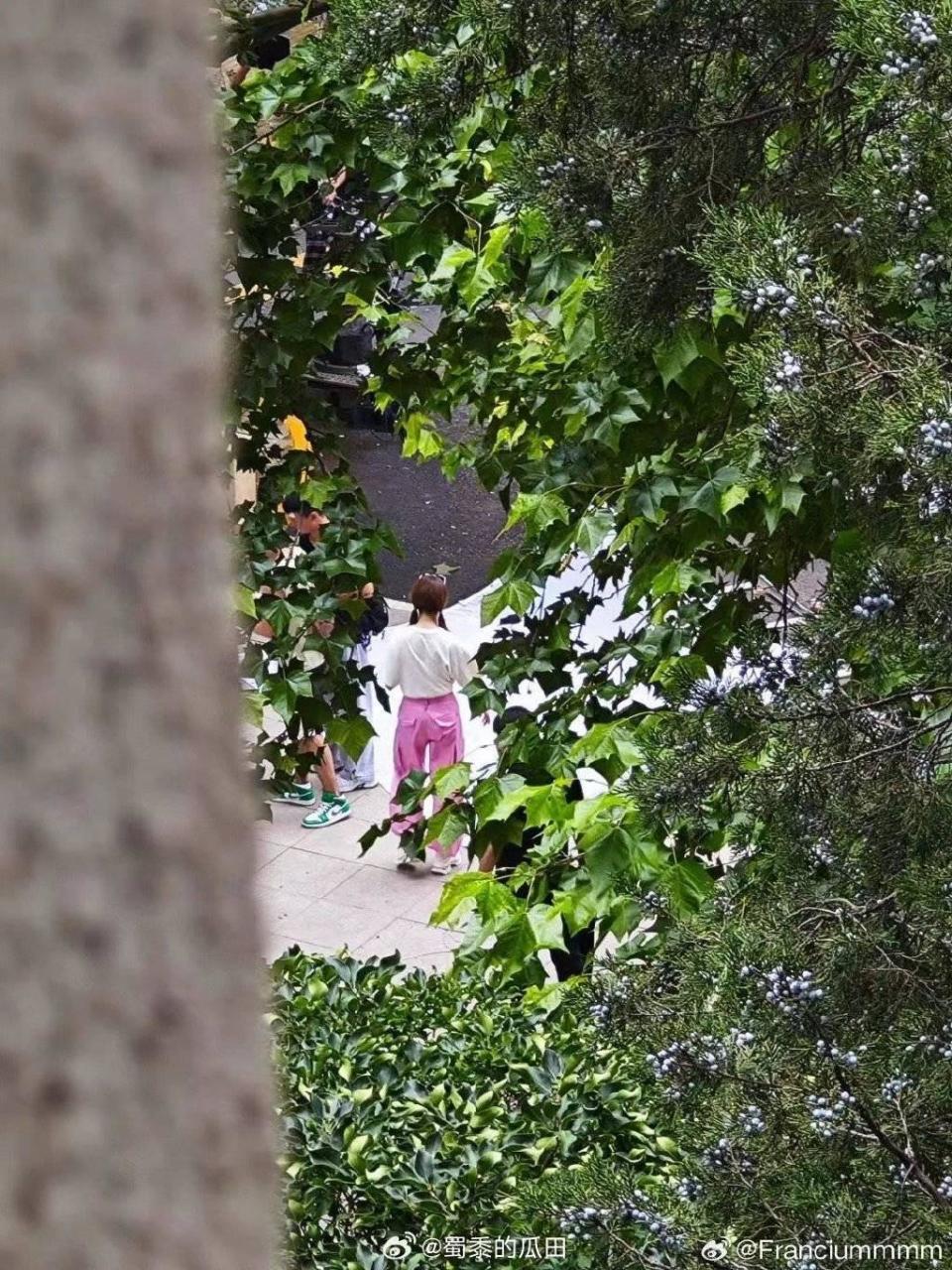 劉亦菲戲中的學生造型被路透，她紮著雙馬尾粉紅長褲，很有學生妹味道。（微博圖片）