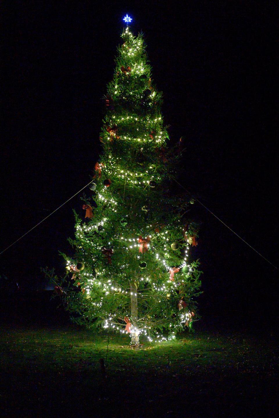 The Lakeville Lions Club held their third annual Christmas tree lighting event on Saturday, 4 at the club's Main Street headquarters.