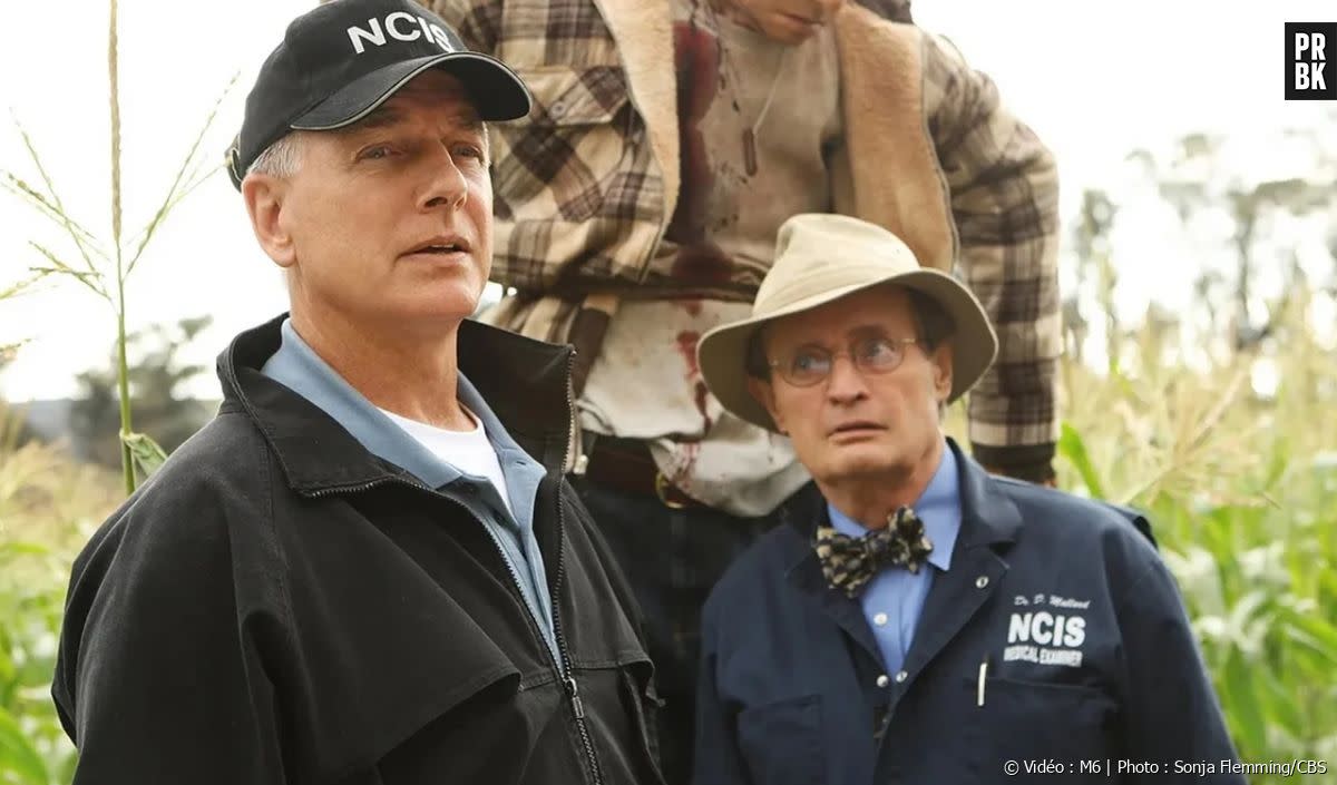 La bande-annonce du dernier épisode de Gibbs dans la saison 19 de NCIS. Les anciens personnages cultes (Tony, Gibbs, Abby) de retour pour l'hommage à Ducky ? On a la réponse - Vidéo : M6 | Photo : Sonja Flemming/CBS