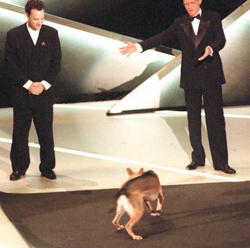 Letterman hosting onstage with Sadie the Dog and Tom Hanks, who won that year (Getty Images)