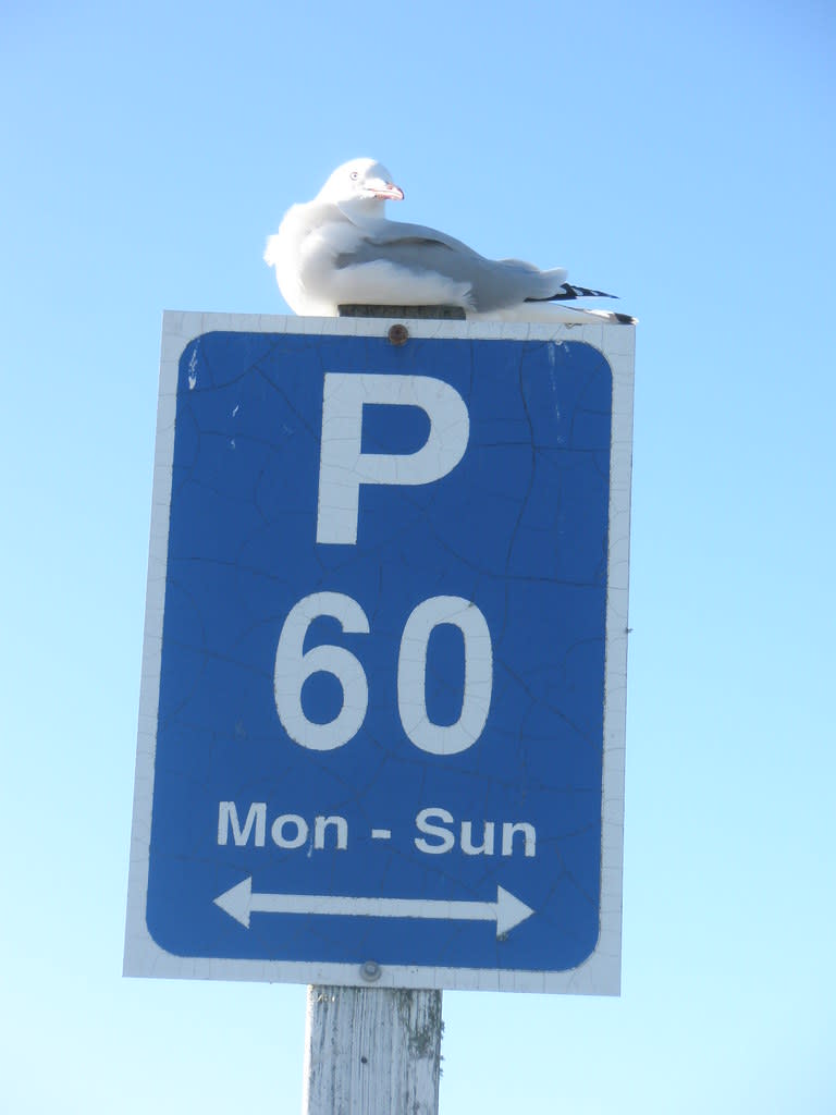 Bird parking