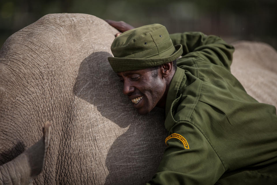 Mohammed Doyo, head caretaker, spends time with Sudan.&nbsp;