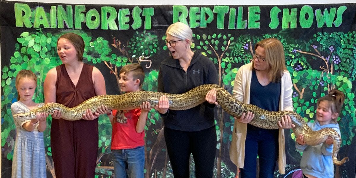 Reptiles Rock! comes to the Cape Cod Museum of Natural History on April 13.