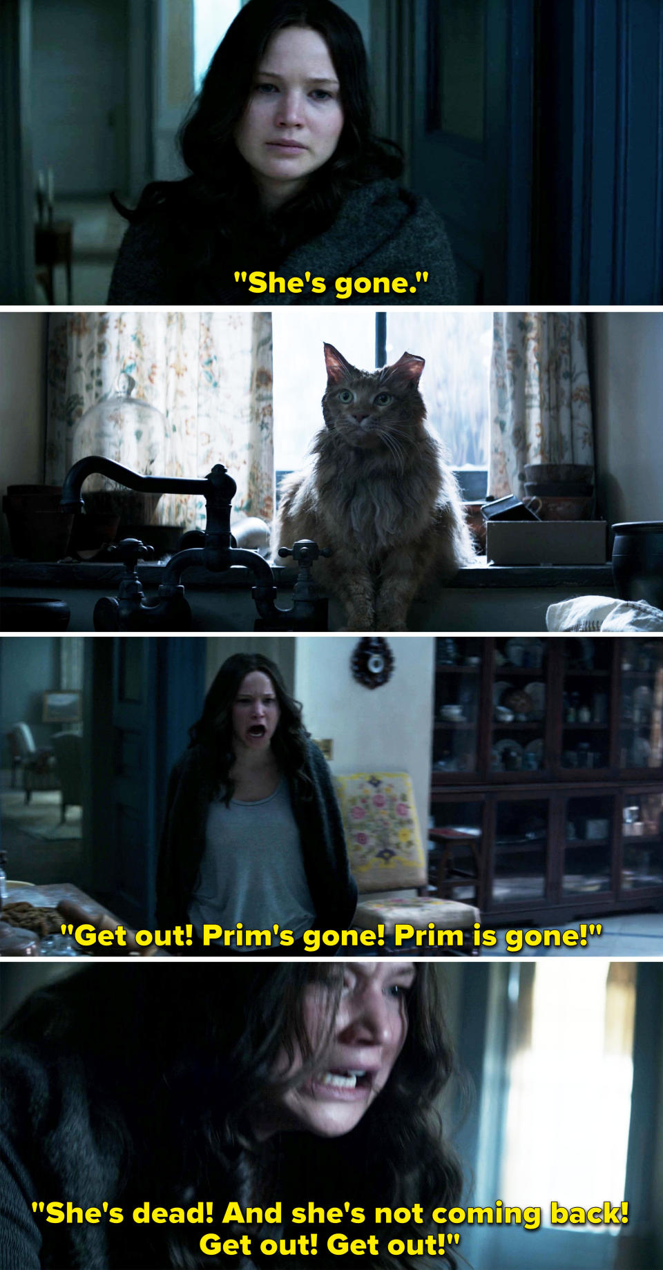 katniss yelling at the cat, she's dead and she's not coming back, get out get out!