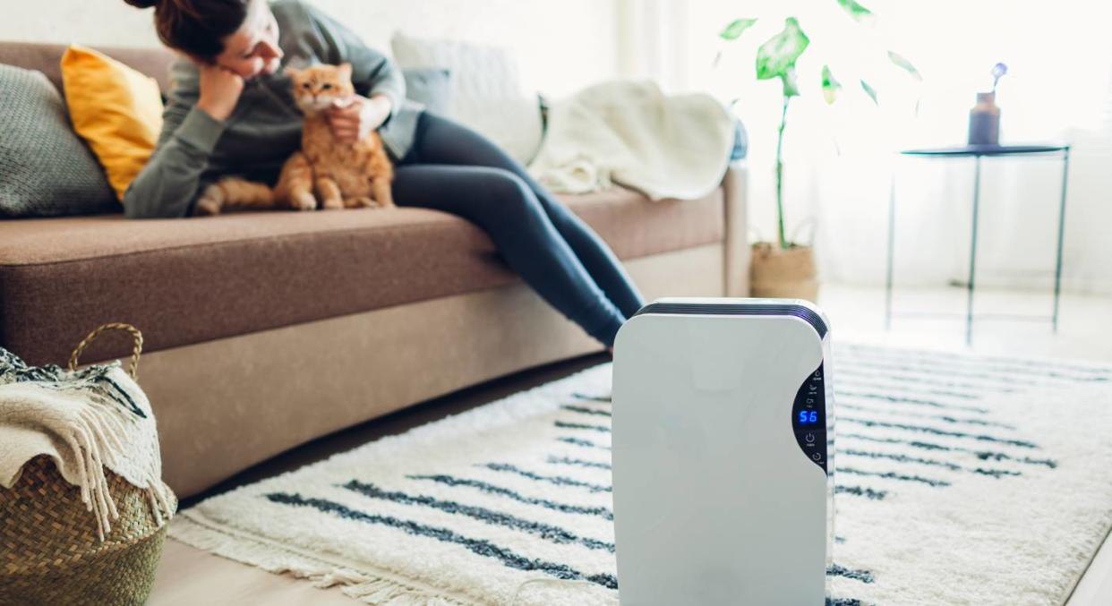 This at-home air purifier will keep your house bacteria free (Getty Images)