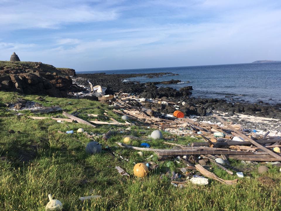 海廢問題嚴重，沿海地區常出現畸形生物。（圖／翻攝自海洋公民基金會臉書）