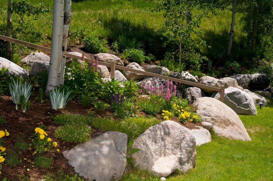 Large boulder border surrounding a garden bed of wildflowers and Aspen trees. 