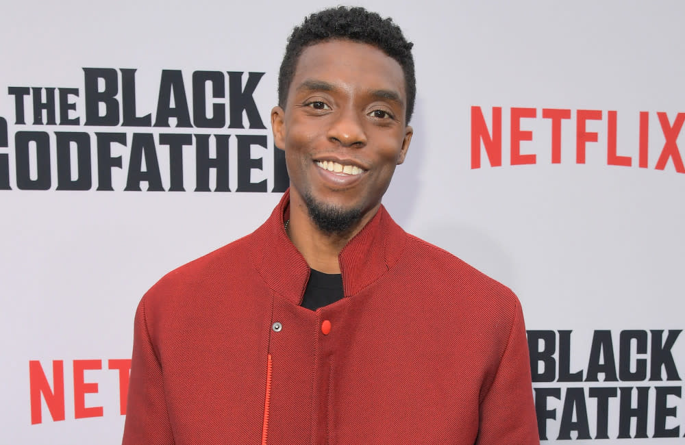 Chadwick Boseman's 'Black Panther' character will not be recast credit:Bang Showbiz