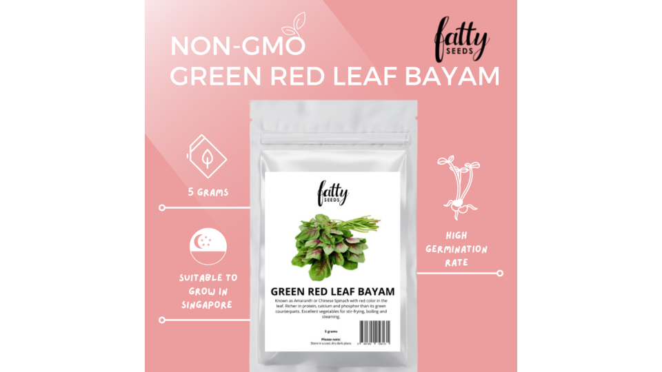 Fatty Seeds Green Red Leaf Bayam. (Photo: Lazada SG)