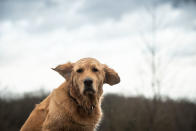 (Photo by Bernd Thissen/picture alliance via Getty Images)