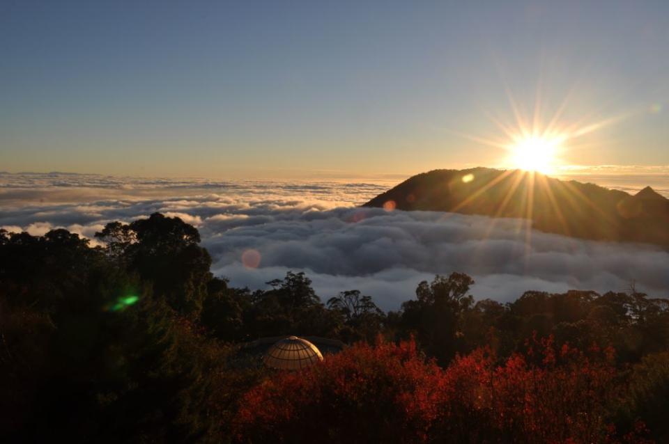 大雪山（圖片來源：台中市政府觀光旅遊局）