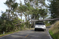 A vehicle approaches a fallen tree and power lines in Pebble Beach, Calif., Sunday, Feb. 4, 2024. (AP Photo/Ryan Sun)
