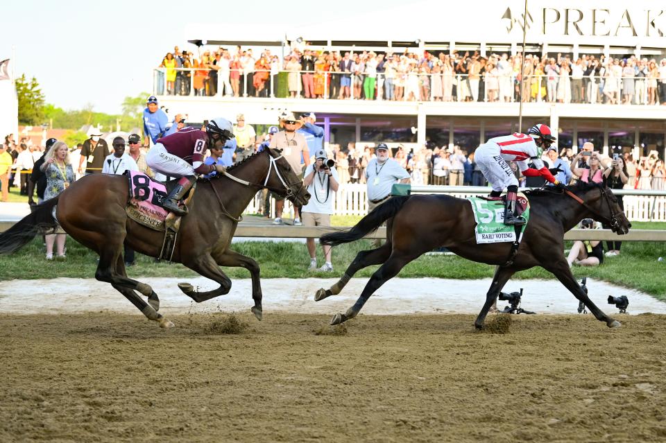 Jose L. Ortiz aboard Early Voting pulls away from Joel Rosario aboard Epicenter to win the Preakness Stakes at Pimlico.