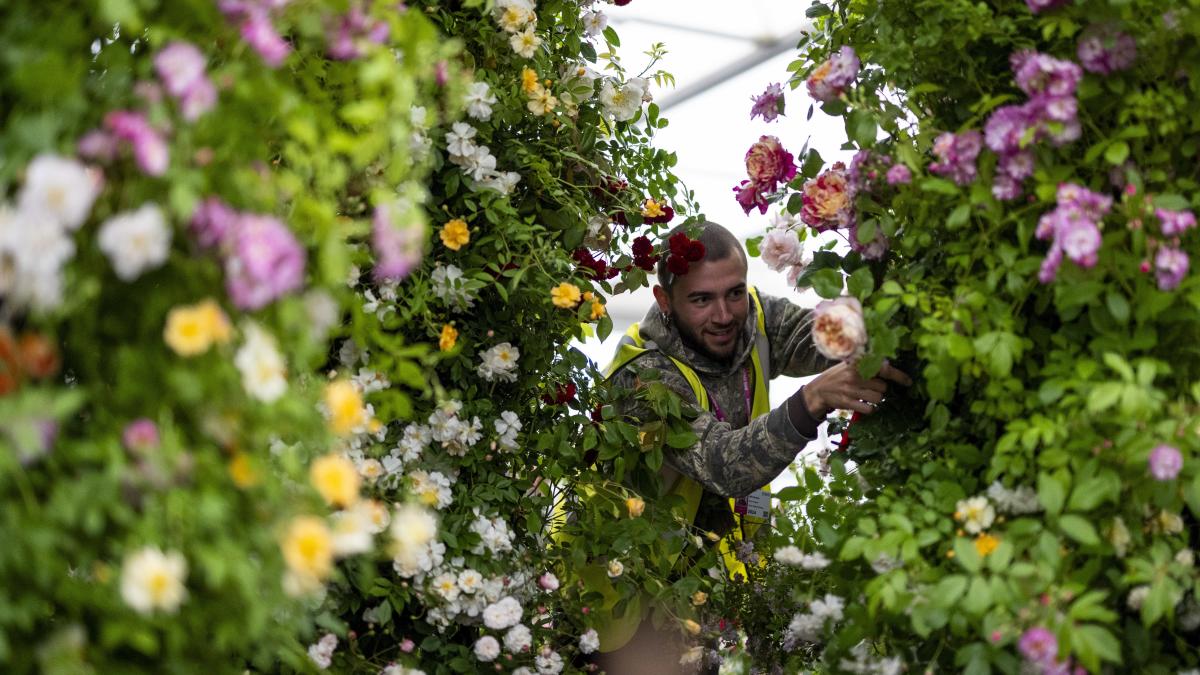 Children centre stage at Chelsea Flower Show as green issues high on agenda