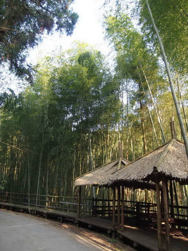 五元二角（圖片來源：雲林文化旅遊網）