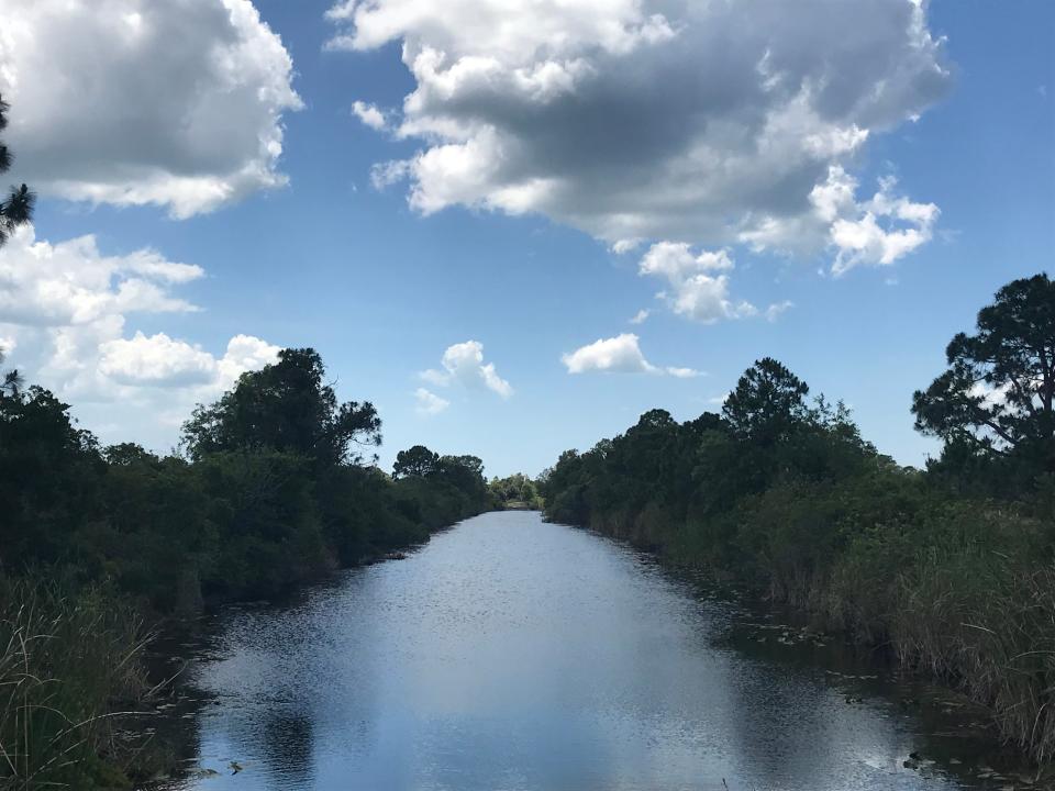 The Cassandra Canal in Cape Coral