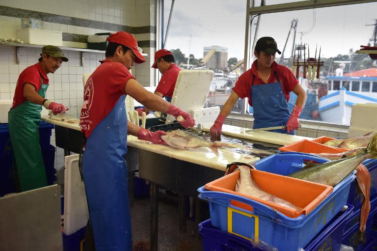 Workers prepare fish at the Sydney Fish Market, in December 2014