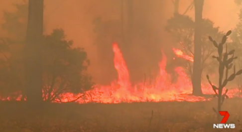 Catastrophic fire danger has been warned for parts of northern NSW, Qld.