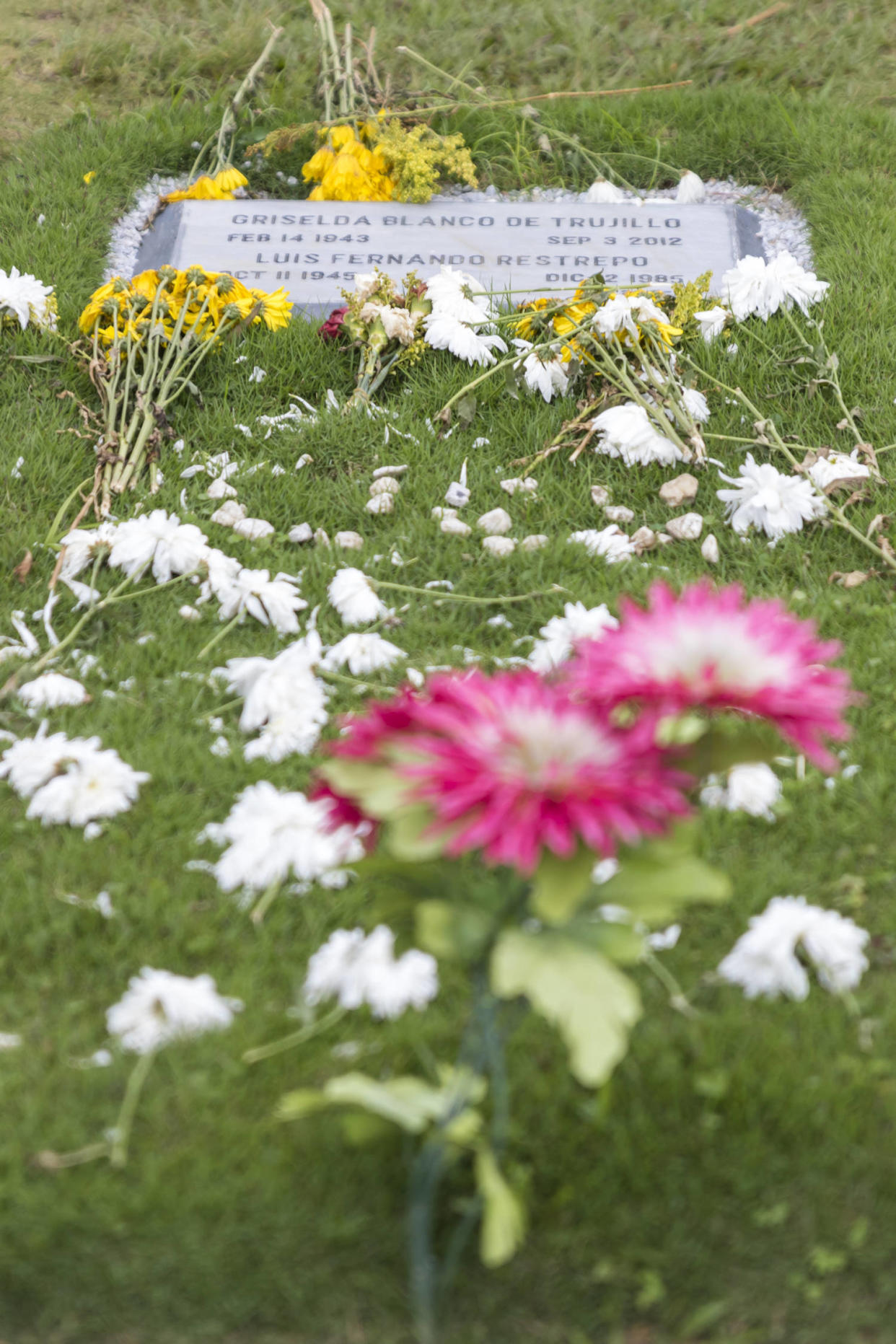 Jardines de Montesacro cemetery  (VW Pics / Universal Images Group via Getty Images)