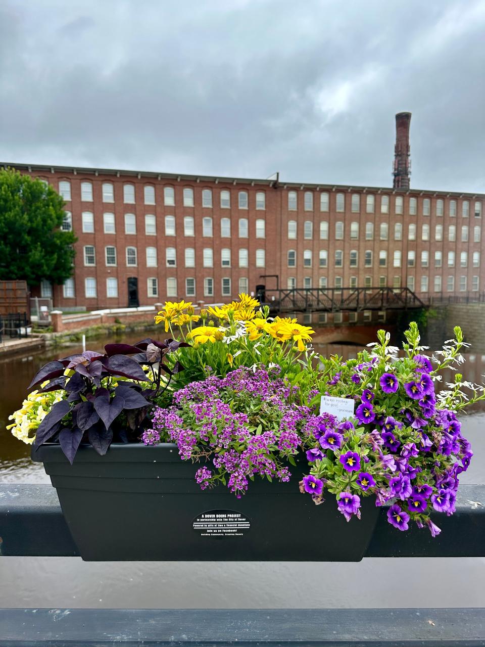 One of a number of flower boxes in Dover, lovingly created and cared for by community members, that have been repeatedly vandalized.