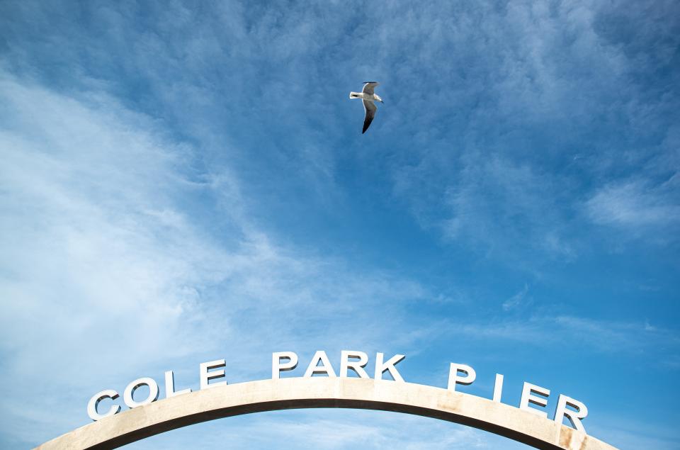 A gull flies over Cole Park Pier during a ribbon cutting ceremony in Corpus Christi on Friday, Dec. 17, 2021. 