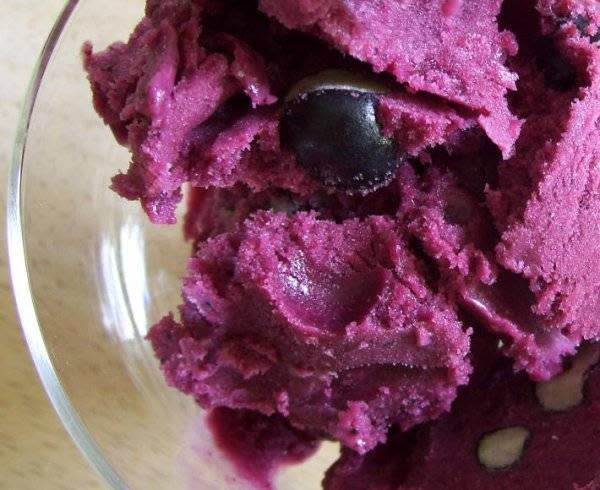 blueberry tofu sorbet recipe (vegan and vegetarian recipes for the fourth of july)