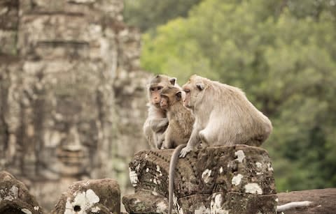 Cambodia is having a moment - Credit: JTSorrell