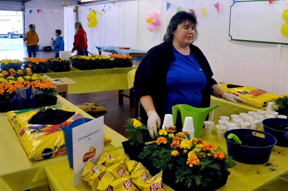 Frito-Lay employee Pam Carter was in the Children's Garden at the Home and Garden show to pot marigold plants that were donated by businesses to children at the show.
(Photo: MIKE SCHENK/THE DAILY RECORD)