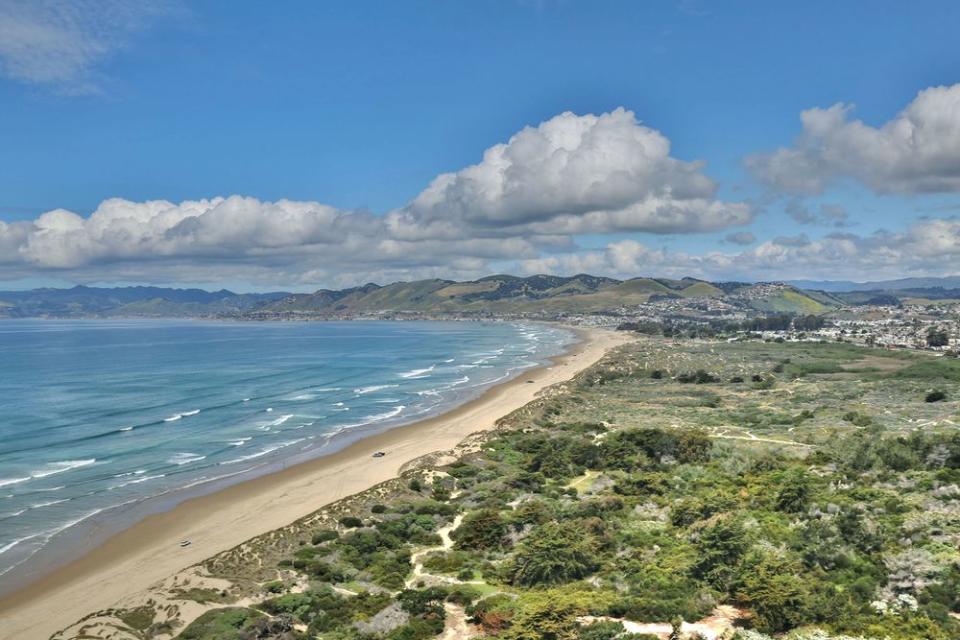 Drive down California’s Highway 1 and see wildlife in its natural habitat on this West Coast family road trip. Plus, squeeze in beach time.