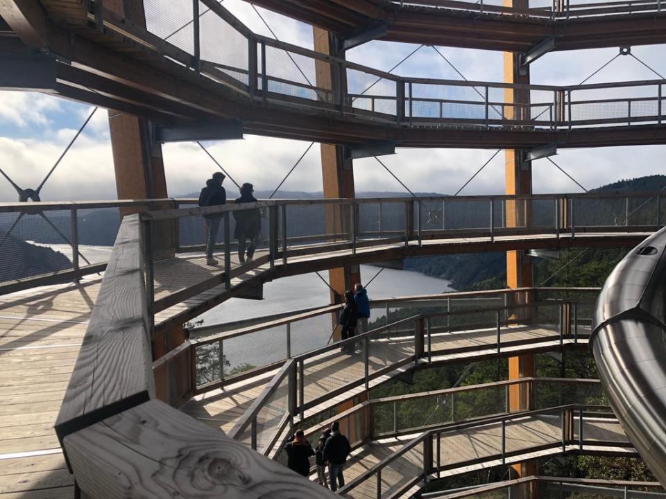 Dramatic views from Malahat Skywalk (Brendan Sainsbury)