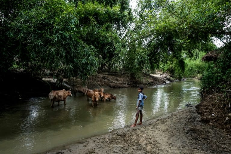 Rohingya villagers say they are trapped between an oppressive state and vengeful militants