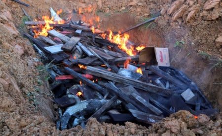 Some of the hundreds of crocodiles, killed by angry locals after a man was killed in a crocodile attack, are burned by government authorities in Sorong regency, West Papua, Indonesia, July 16, 2018. Antara Foto/Olha Mulalinda/ via REUTERS