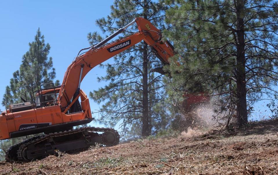 Contractor Wesley Brinegar clears young trees with a masticator during a fuel break project in the Stanislaus National Forest near Cedar Ridge, Calif., on Friday, May 20, 2022.
