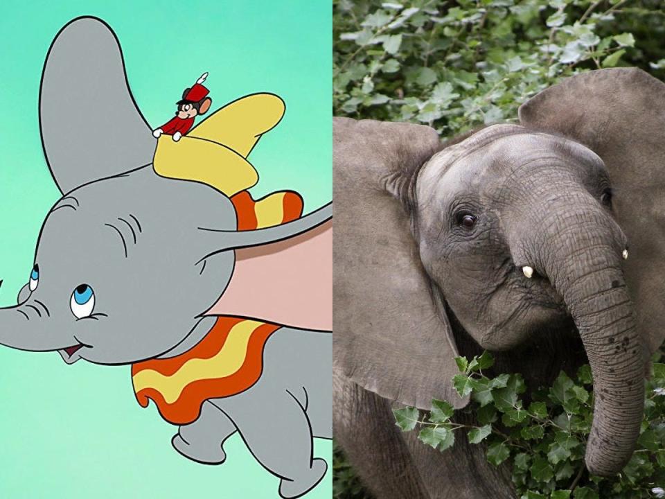 dumbo side by side