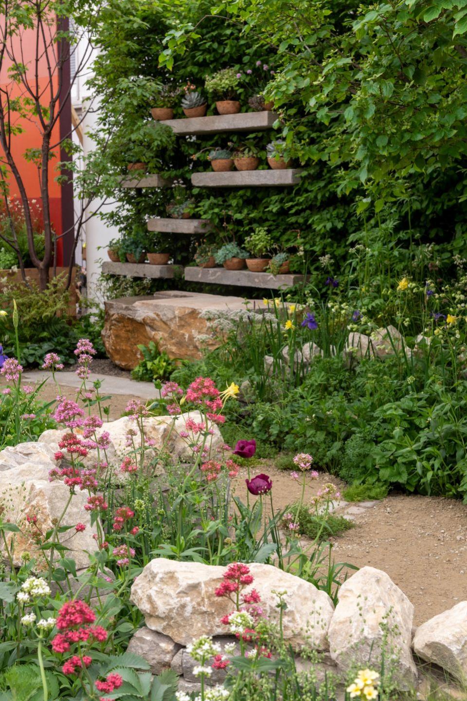 the natural affinity garden for aspens designed by camellia taylor sponsored by aspens charities and project giving back all about plants rhs chelsea flower show 2023 stand no 16