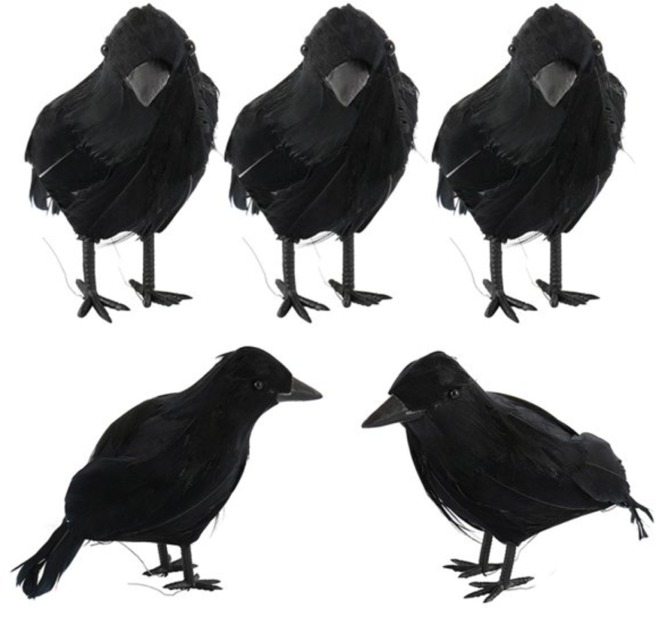 Feathered Crows