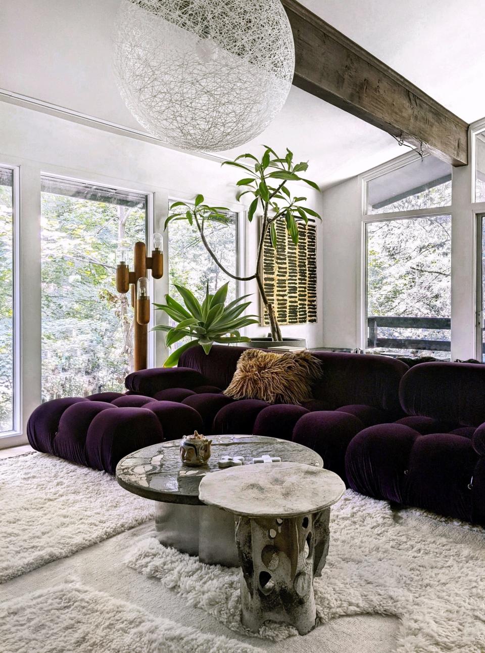 Living room with purple couch and houseplants