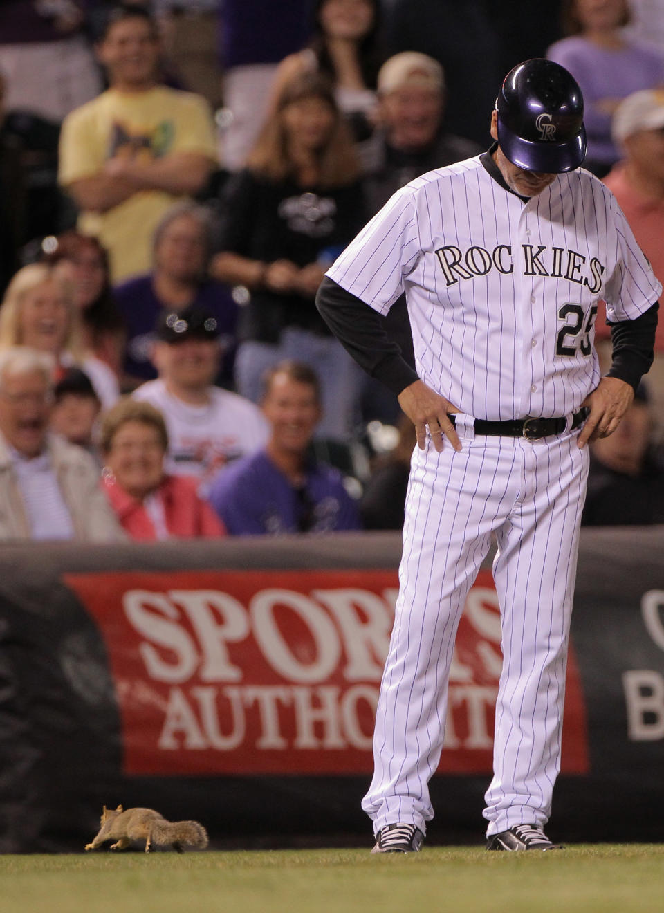 DENVER, CO - JUNE 01: Third basr coach Rich Dauer #25 of the Colorado Rockies watches as a squirrel runs on the field during the sixth inning against the Los Angeles Dodgers at Coors Field on June 1, 2012 in Denver, Colorado. (Photo by Doug Pensinger/Getty Images)