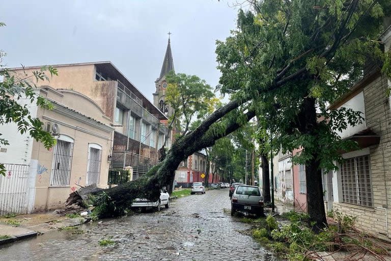 Garibaldi al 400, en San Isidro