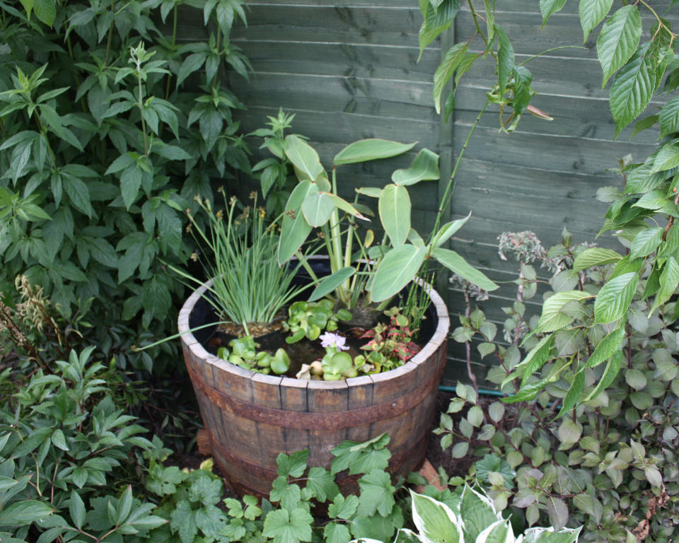 7. Turn an old barrel into a pond